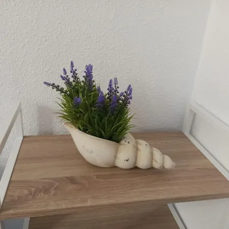 Apartment Playmar