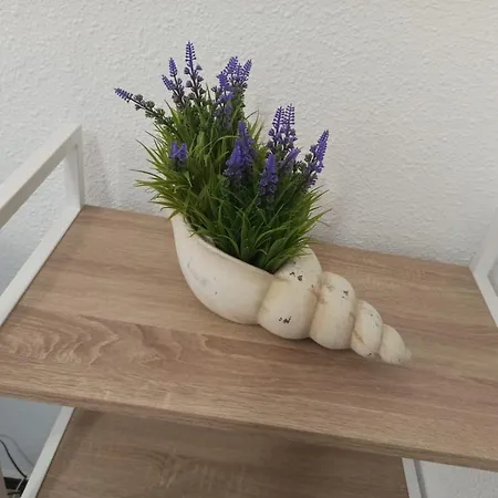 Apartment Playmar